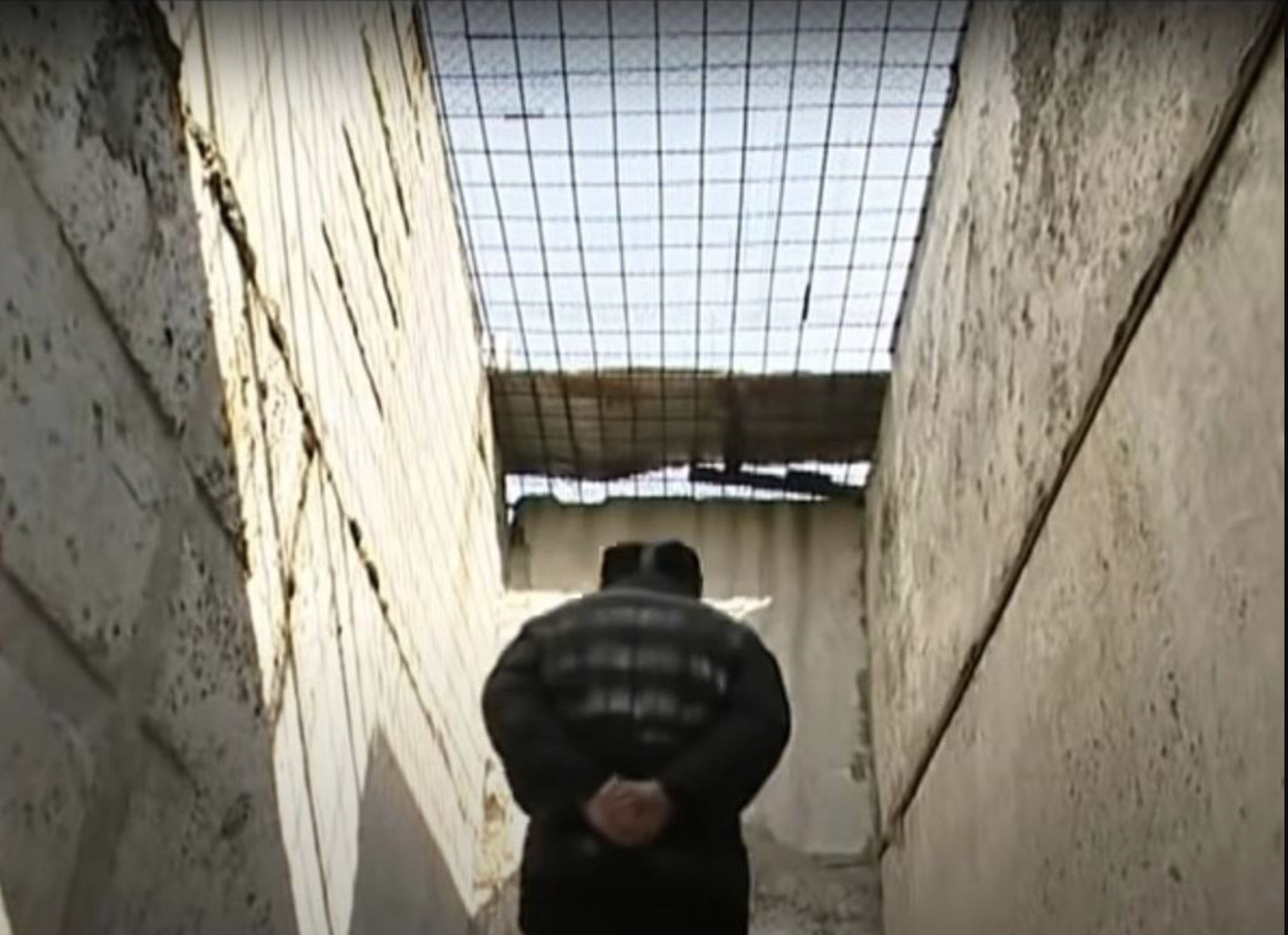 Alexei Navalny foto profilo Twitter pubblicata prima di morire in carcere